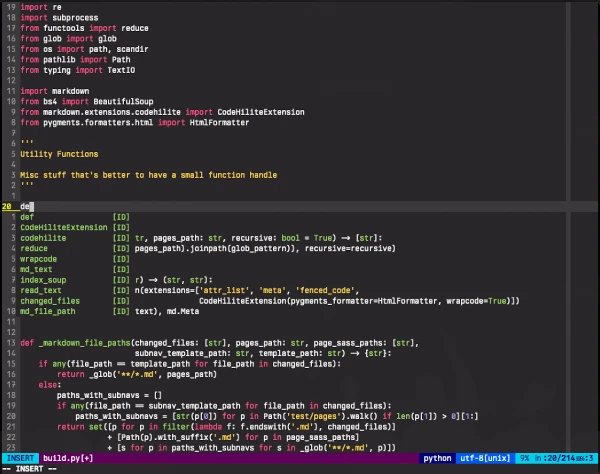 vim with monokai pro theme and YCM